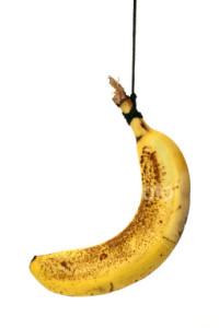 Banana on String
