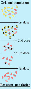 antibiotics resistance