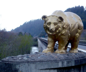 gold bears