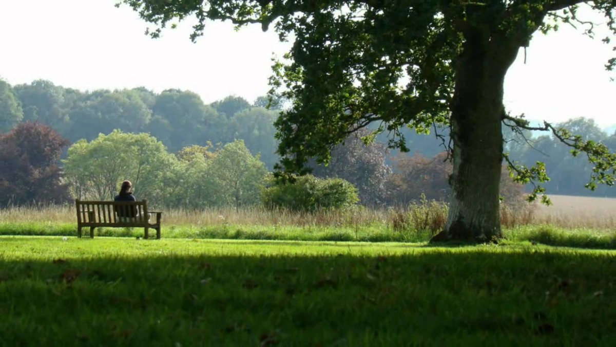 The Majesty of Mindfulness