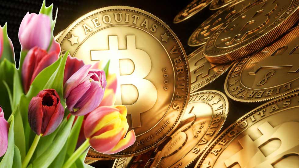 Bitcoin and tulip bulbs